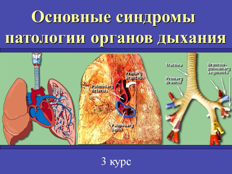 Основные синдромы  патологии органов дыхания 3 курс